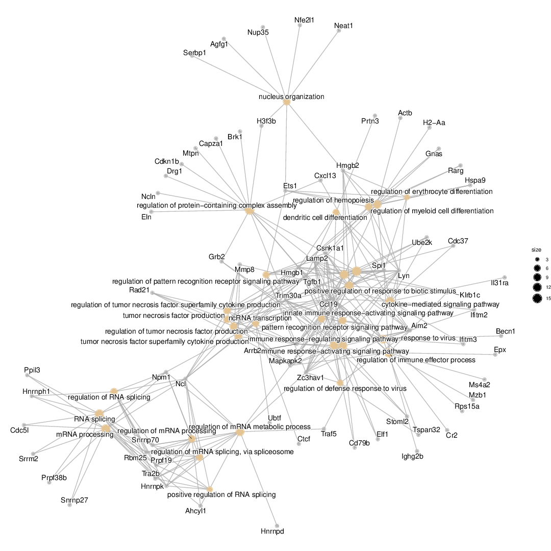 Cnetplot_GO_ORA_custom
