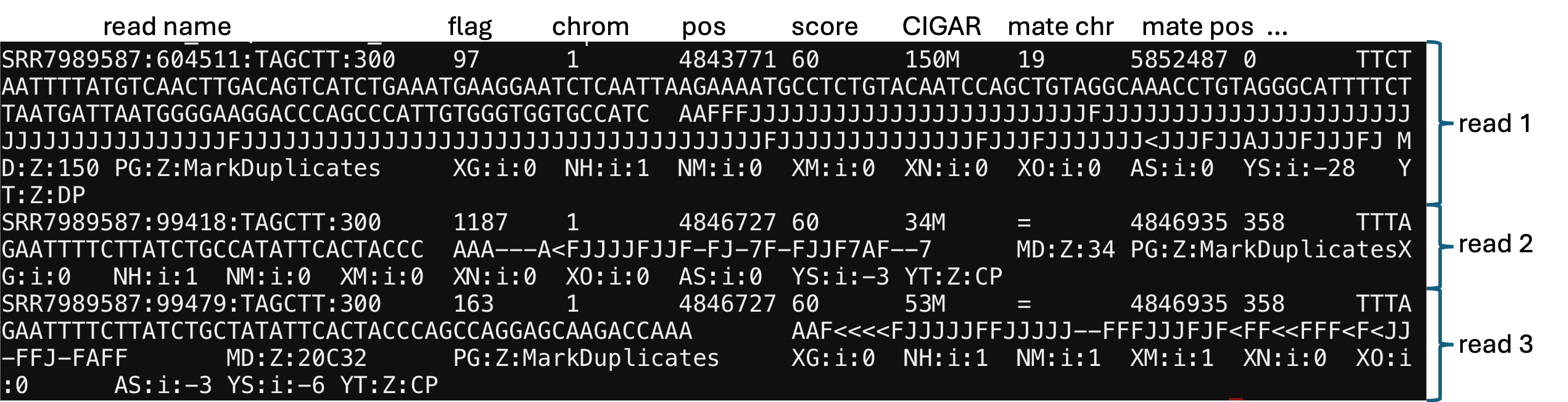 ead of BAM file