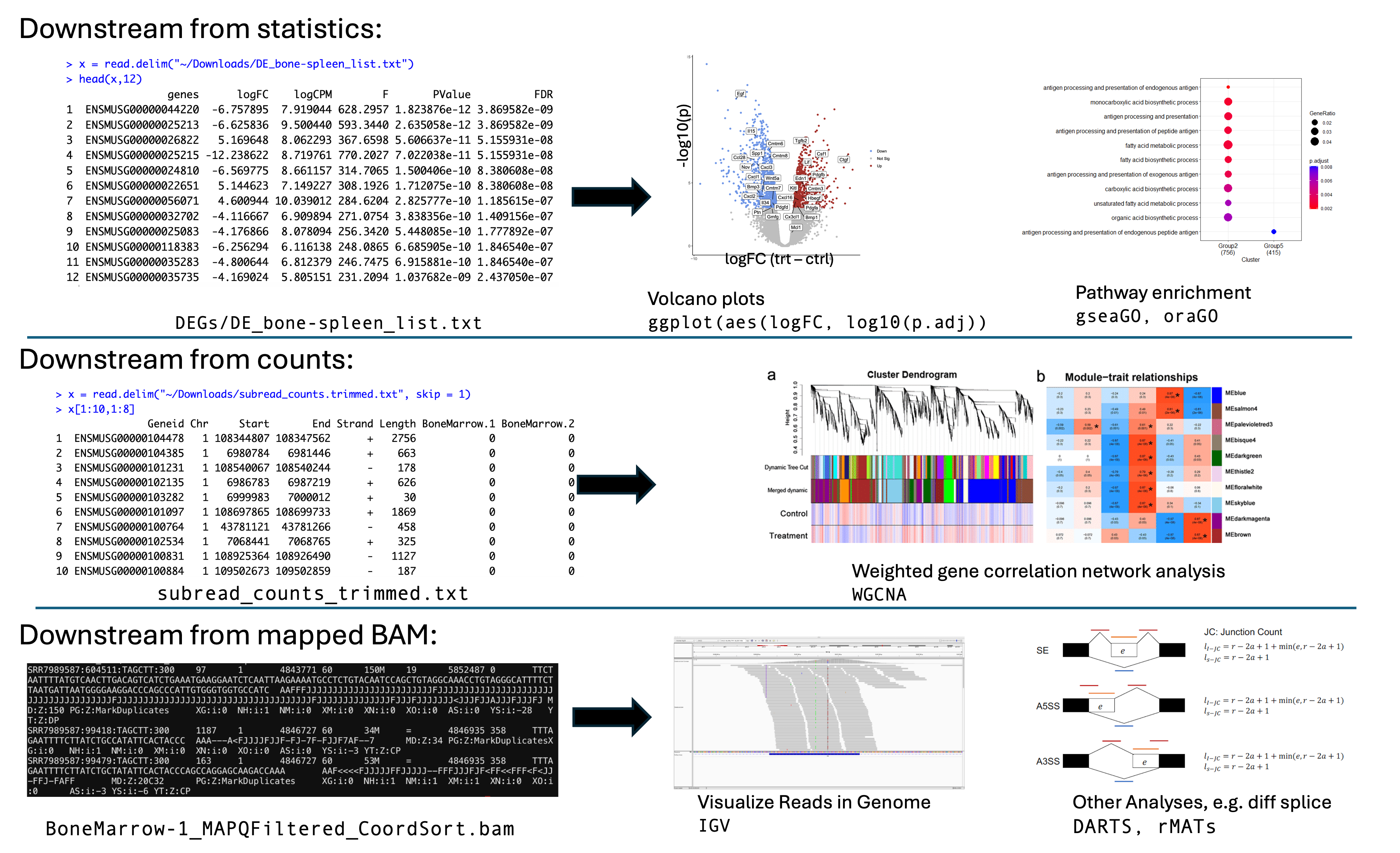 bulkrnaseq downstream options