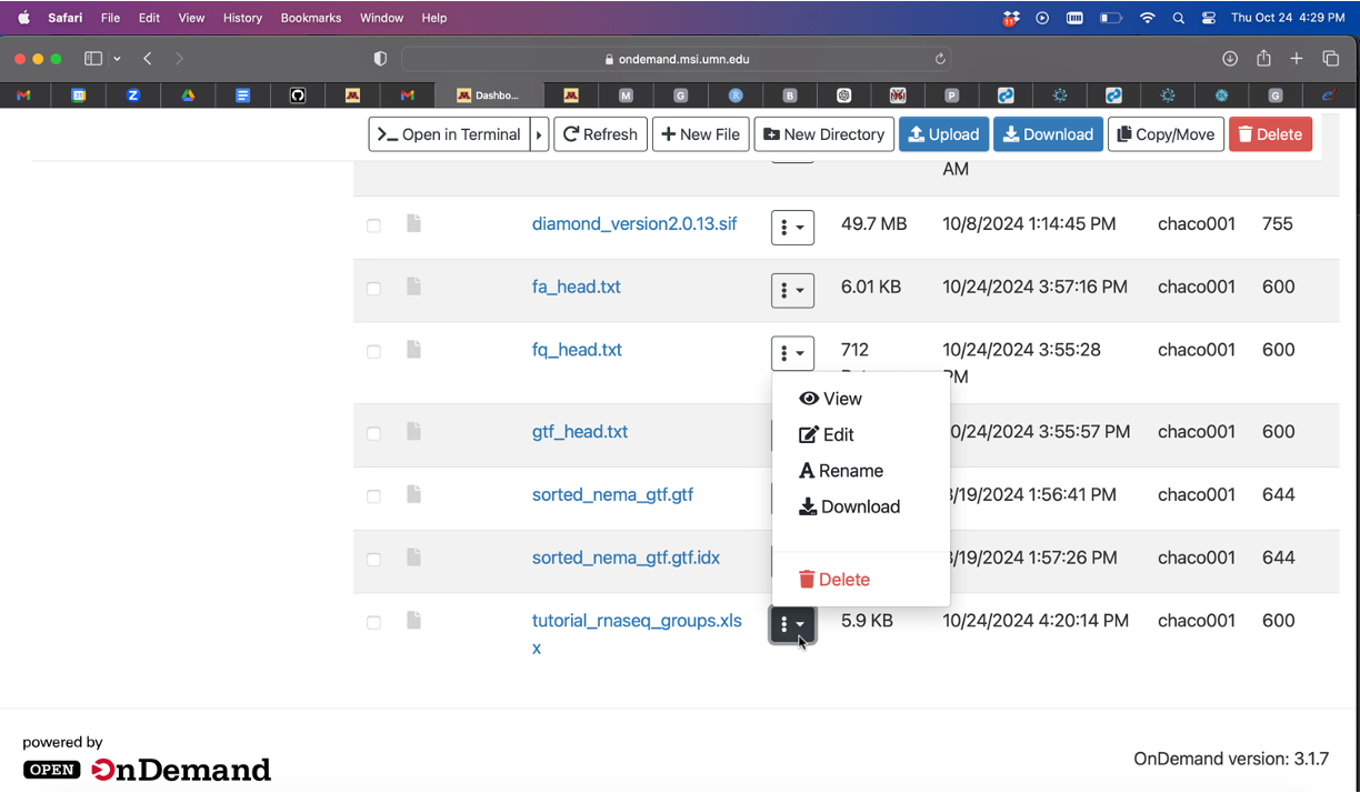 ondemand download xlsx