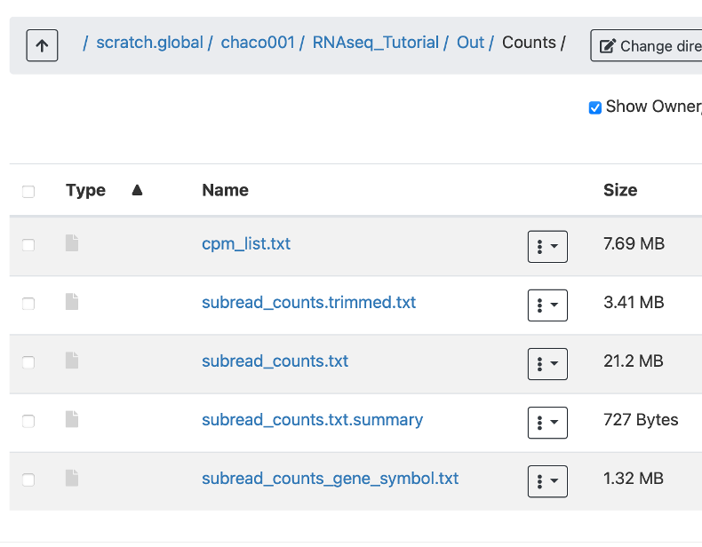 Counts directory on Open OnDemand