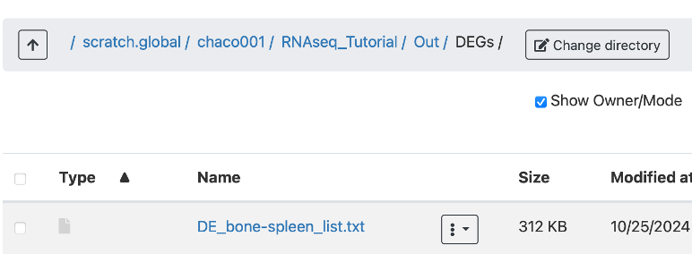 DEGs directory on Open OnDemand