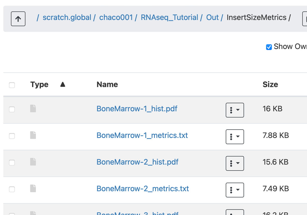 InsertSize directory on Open OnDemand
