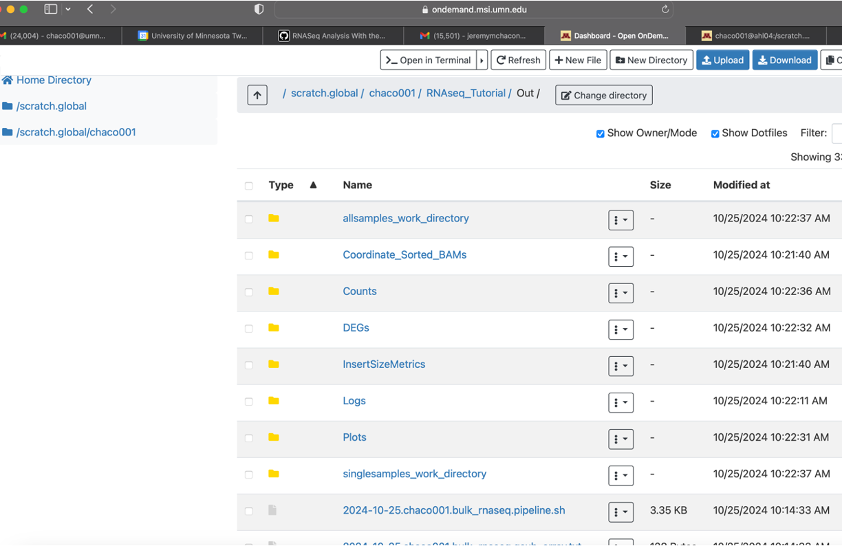 Out directory on Open OnDemand