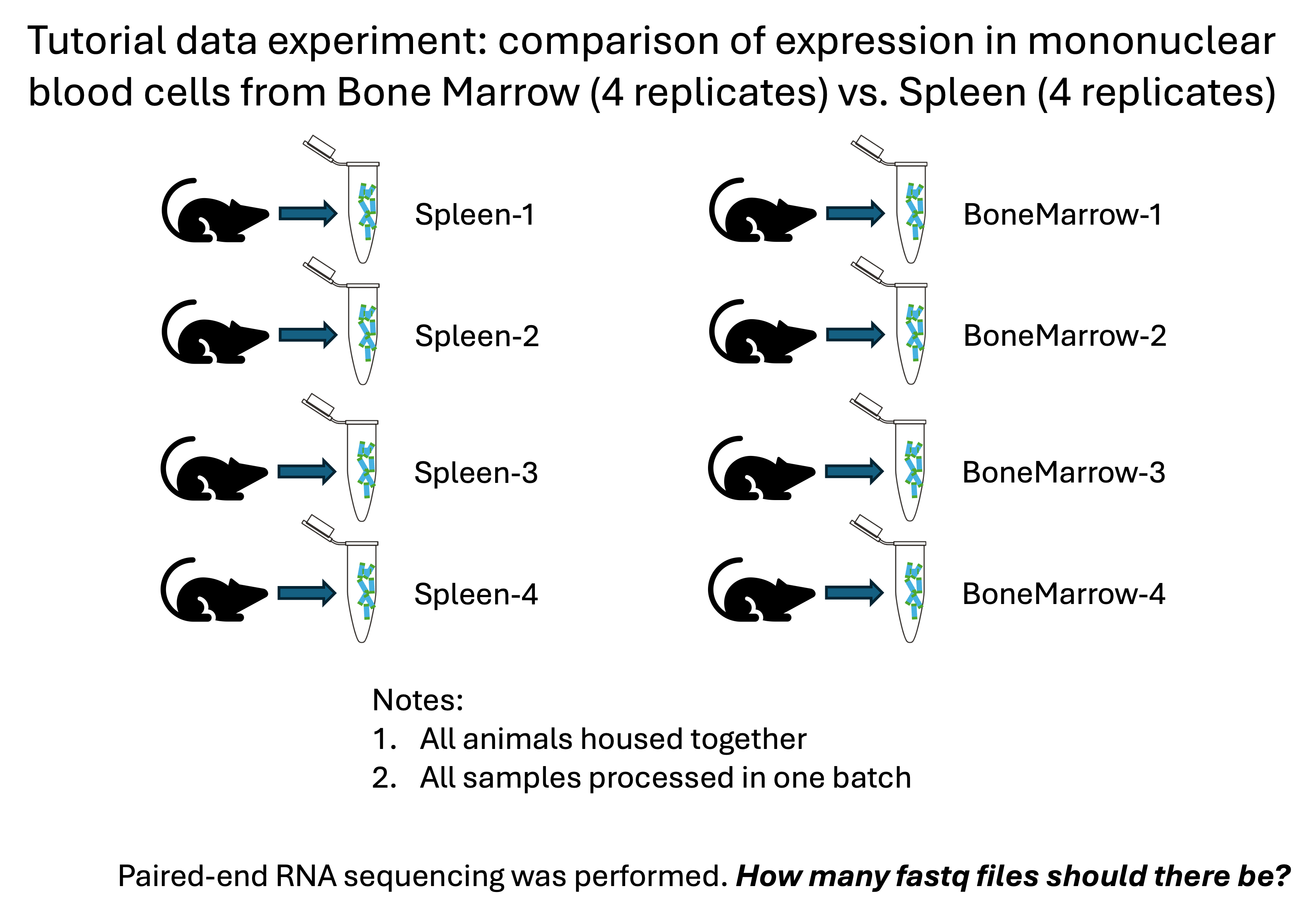 Tutorial Expt. Design