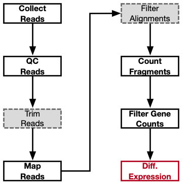 DGE workflow