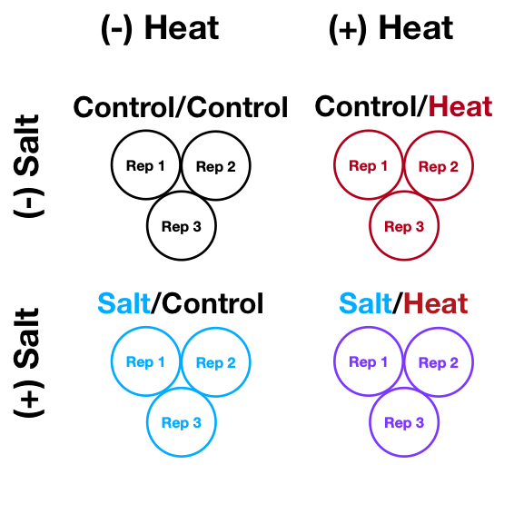 Factorial Experiment