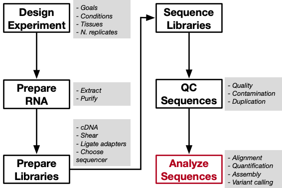 General workflow