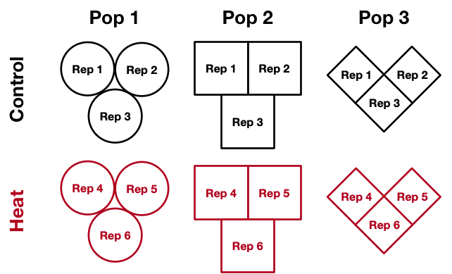 Nested Experiment