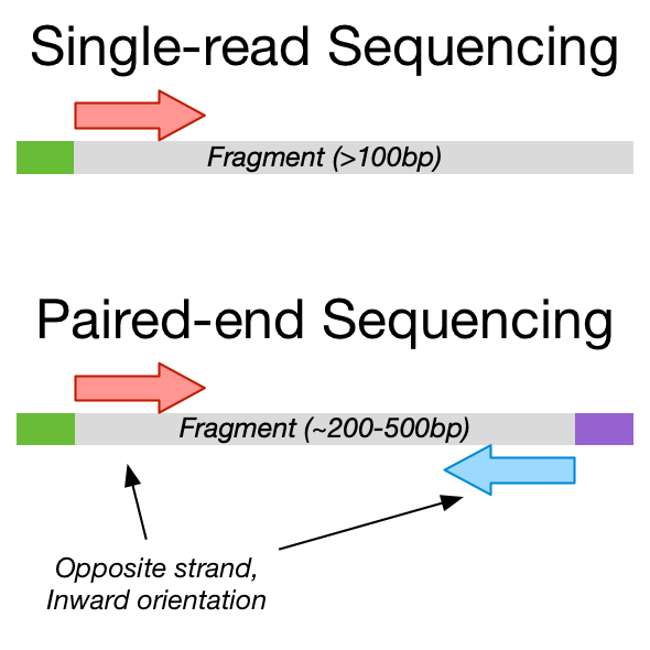 Paired-end vs. single-read