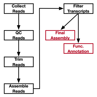 Asm workflow